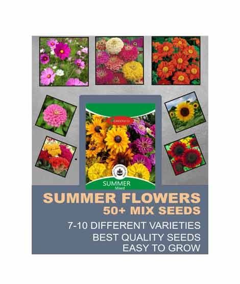 Diy Store Summer Season Mix Flower Seeds (0051)