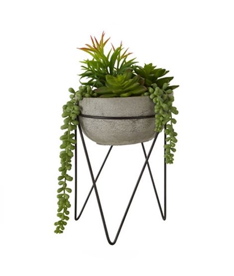 Premier Home Fiori Mixed Succulent Plant With Metal Stand (2907049)