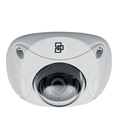TruVision Vandal IP Dome Camera (TVD-N210W-4-P)