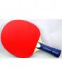 Favy Sports Butterfly Addoy 2000 Table Tennis Racket