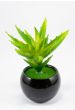 ZS Store Artificial Plant Bonsai Pot Ceramic - Pack of 2