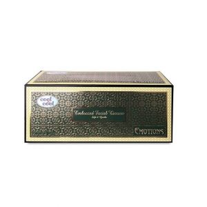 Cool & Cool Embossed Facial Tissues Boutique Box 100 x 2 Ply (E662)