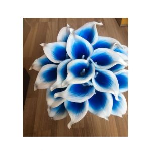 HusMah Rare Calla Lily Seeds- White & Blue