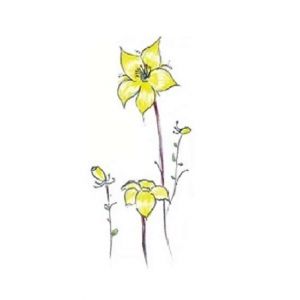 M.Mart Yellow Blossom Flower Temporary Tattoo Sticker