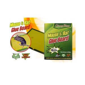 Blue Ice Traders Mouse Trap Book Pack Of 3
