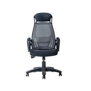 Boss Aqua Mesh High Back Revolving Chair (B-543)