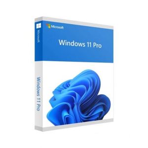 Microsoft Windows 11 Professional (FQC-10528) - 1 User