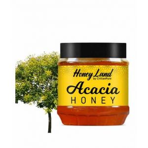 Chiltan Pure Acacia Honey - 450gm