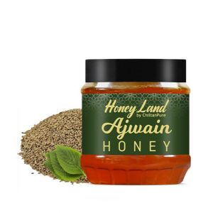 Chiltan Pure Ajwain Honey - 450gm
