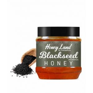 Chiltan Pure Blackseed Honey - 450gm
