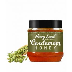 Chiltan Pure Cardamom Honey - 450gm