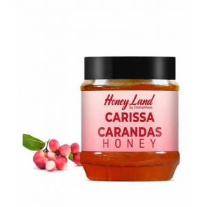 Chiltan Pure Carissa Carandas Honey - 450gm
