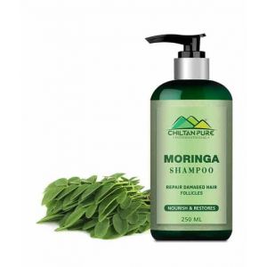 Chiltan Pure Nourishing & Moisturizing Moringa Shampoo - 250ml
