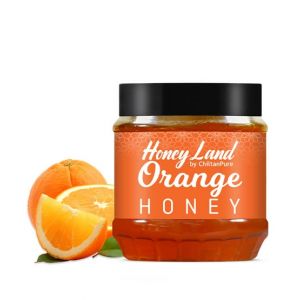 Chiltan Pure Orange Honey - 450g