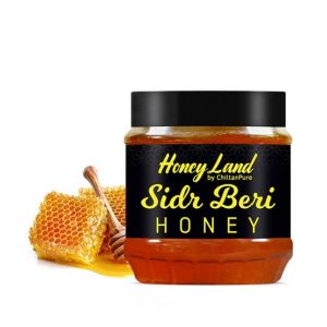 Chiltan Pure Sidr Beri Honey - 450gm