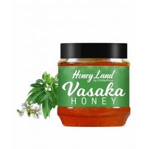 Chiltan Pure Vasaka Infused Honey - 450gm