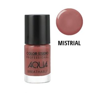 Color Studio Aqua Breathable Nail Polish - Mistrial 