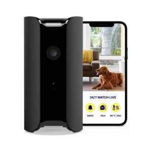Consult Inn Canary All-in-One Indoor Security Camera (CAN100USBK)