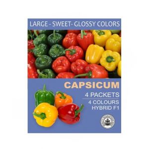 Diy Store 4 Different Varieties Capsicum Seeds (0050)