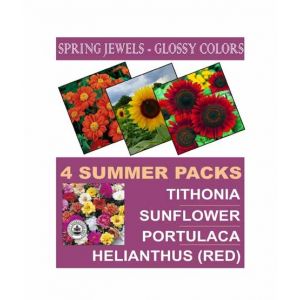 DIY Store Summer Flower Seeds Pack of 4 (0044)