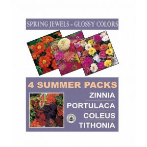 DIY Store Summer Flower Seeds Pack of 4 (0045)