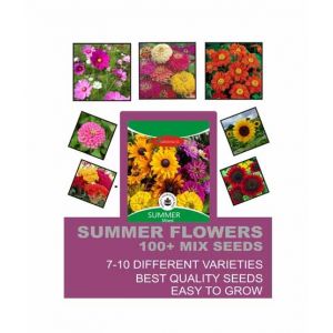 Diy Store Summer Season Mix Flower Seeds (0047)