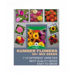 Diy Store Summer Season Mix Flower Seeds (0051)