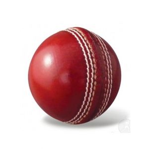 Favy Sports Cricket Hard Ball Red