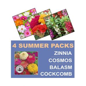 DIY Store Zinnia Cosmos Balasm Cockcomb Flower Seeds