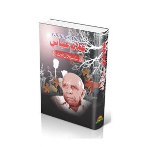 Gulam Abbas Kay Baymisal Novelette Book