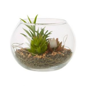 Premier Home Fiori Mixed Succulent Glass Pot (2907045)