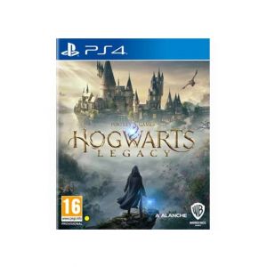 Hogwarts Legacy DVD Game For PS4