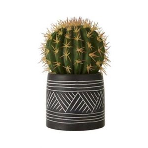 Premier Home Fiori Cactus Succulent (2907054)