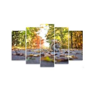 Maguari Squirrel On Road Canvas Small Wall Frame 5 Pcs (0704)