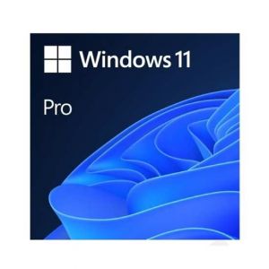 Microsoft Windows 11 Pro 64-Bit DVD (FQC-08939)