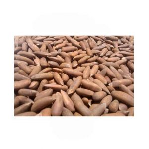 Omega Store Chilgoza Pine Nuts 500g