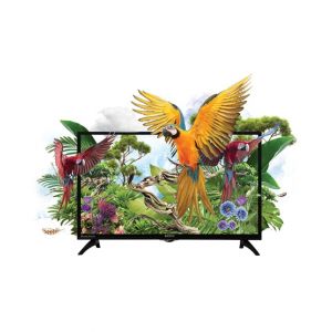 Orient Macaw 32" HD LED TV