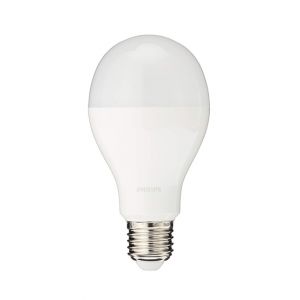 Philips LED Bulb 18.5W E27 6500K 230V A67 1CT/6 APR