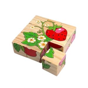 Planet X Universal Wooden Cubic Blocks Fruits Puzzle (PX-11963)
