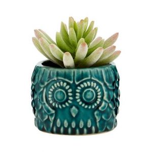 Premier Home Fiori Small Succulent Blue Owl Pot (2907020)