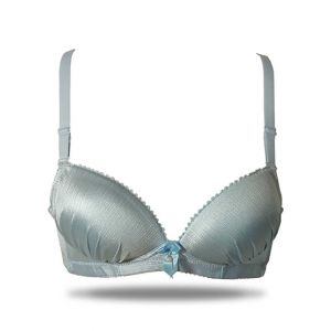 Purple Bag Fancy Soft Padded Wired less Bra For Women (OFW0019)