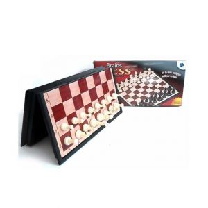 Planet X Brains Chess Magnetic Board Game (PX-10788)