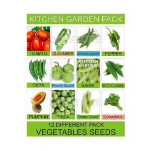DIY Store Vegetables Gardening Seeds Pack of 12