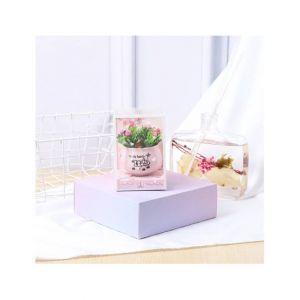 ShopEasy Green Rose Small Potted Set Room Decoration