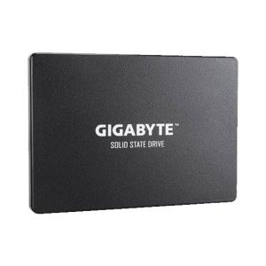 Gigabyte 256GB Solid State Drive (GP-GSTFS31256GTND)