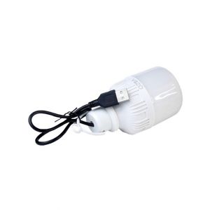 Vizo 5W USB Led Bulb - White