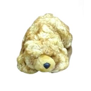 ZT Fashions Stuffed Bear Toy For Kids (0006)