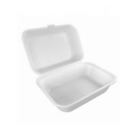 Diyan-e-Store Disposable Food Box Large Pack Of 20