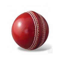 Favy Sports Cricket Hard Ball Red