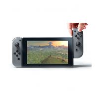 Nintendo Switch with Gray Joy-Con